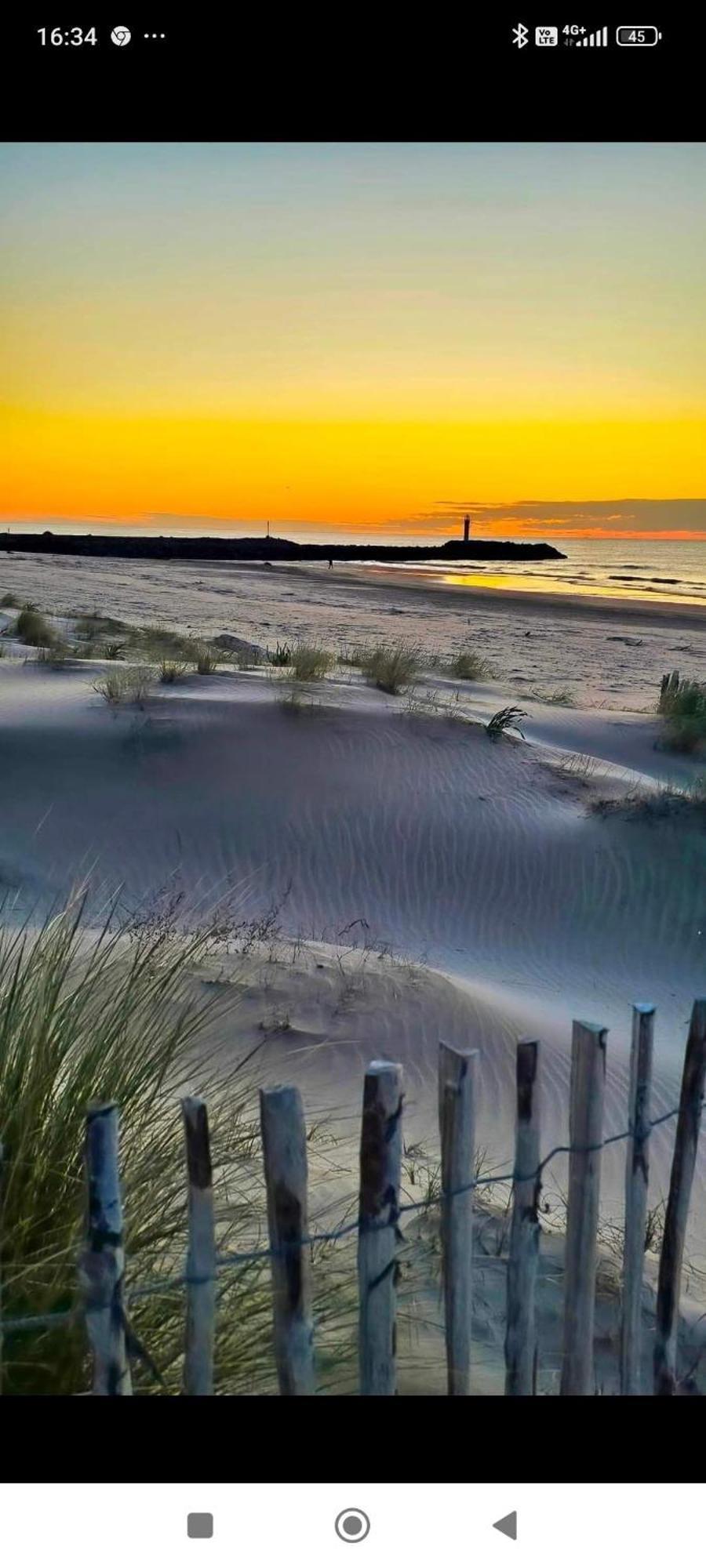 Studio Au Cap D'Agde Dans Les Pinedes Extérieur photo
